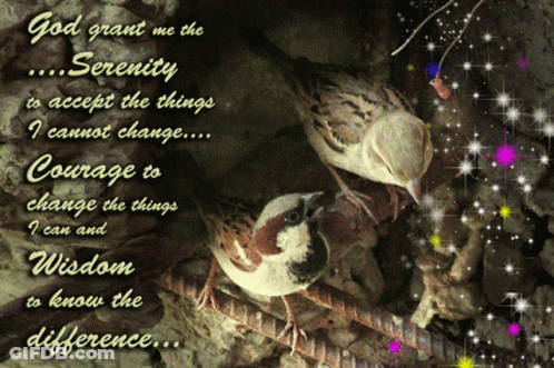 A Picture Of Two Birds And A Quote That Says God Grant Me The Serenity To Accept The Things I Cannot Change GIF