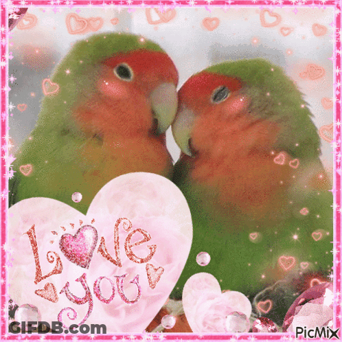 A Picture Of Two Birds Kissing With A Heart That Says Love You GIF