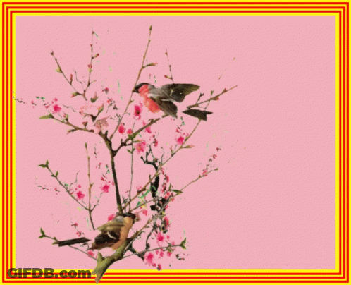 A Picture Of Two Birds On A Tree Branch With The Year 2019 GIF