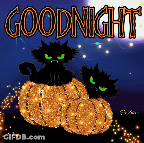 A Picture Of Two Black Cats On Pumpkins With The Words Goodnight GIF