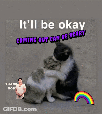 A Picture Of Two Cats Hugging With The Caption It 'Ll Be Okay GIF