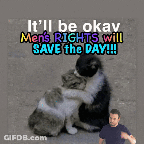 A Picture Of Two Cats Hugging With The Caption It 'Ll Be Okay Men 'S Rights Will Save The Day !!! GIF