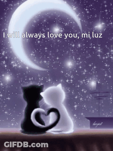 A Picture Of Two Cats With The Words " I Will Always Love You Mi Luz " On The Bottom GIF