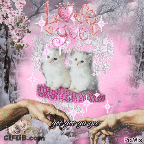 A Picture Of Two Cats With The Words Love You GIF