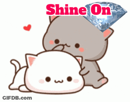 A Picture Of Two Cats With The Words Shine On Written Above Them GIF