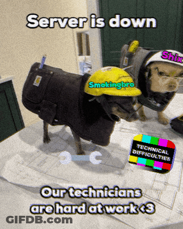 A Picture Of Two Dogs Wearing Hard Hats With The Caption Server Is Down Our Technicians Are Hard At Work GIF