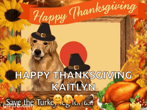 A Picture Of Two Dogs Wearing Pilgrim Hats Says Happy Thanksgiving GIF