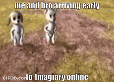A Picture Of Two Dogs With The Caption " Me And Bro Arriving Early To 1Magiary Online " GIF