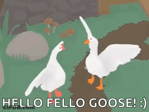 A Picture Of Two Geese With The Words Hello Fello Goose Written Below Them GIF