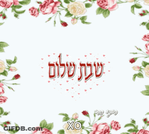 A Picture Of Two Hands Making A Heart Shape With The Words Xoxo In The Middle GIF