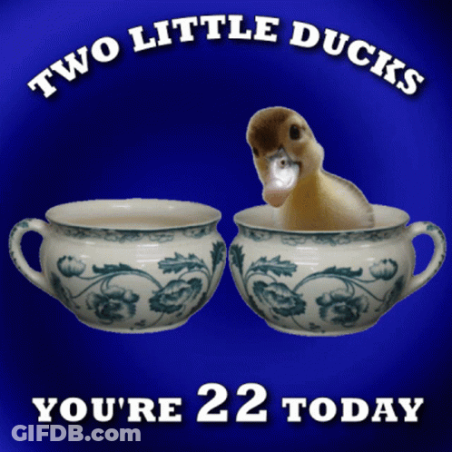 A Picture Of Two Little Ducks On A Blue Background That Says You 'Re 22 Today GIF