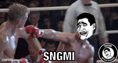 A Picture Of Two Men Boxing With The Caption $ Ngmi GIF