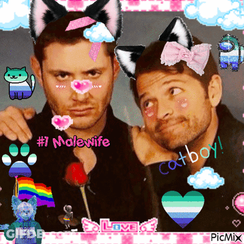 A Picture Of Two Men With Cat Ears And The Words # 1 Malewife And Catboy GIF