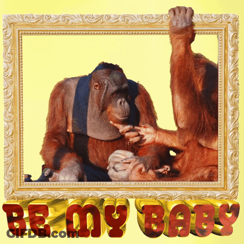 A Picture Of Two Orangutans With The Words Be My Baby GIF
