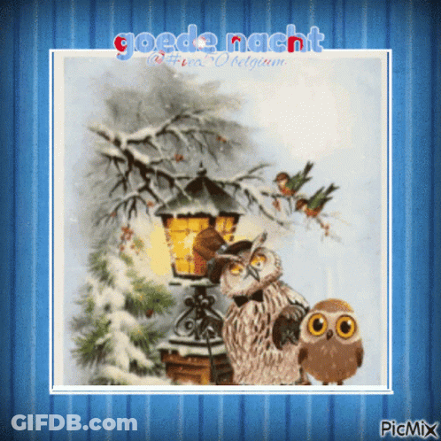 A Picture Of Two Owls And A Lamp Post With The Words Goede Nacht On It GIF