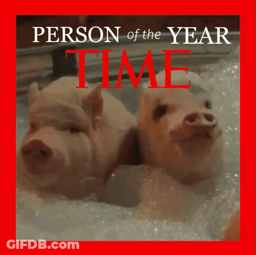 A Picture Of Two Pigs On The Cover Of A Time Magazine GIF