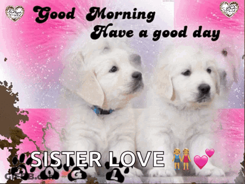 A Picture Of Two Puppies With The Words Good Morning Have A Good Day Sister Love On It GIF