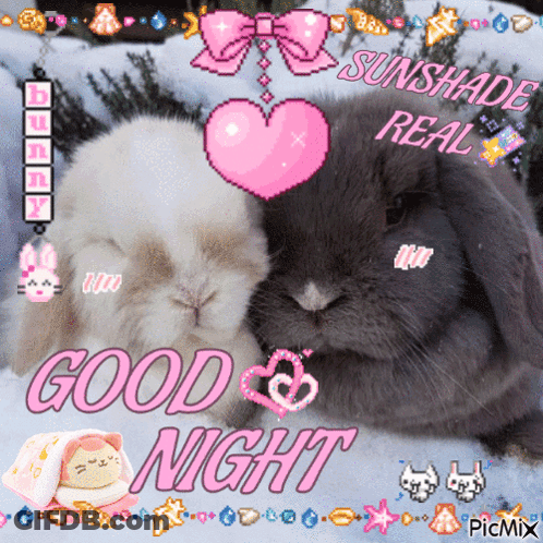 A Picture Of Two Rabbits With The Words " Good Night " On The Bottom GIF