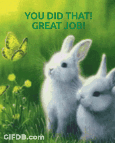 A Picture Of Two Rabbits With The Words " You Did That Great Job " Above Them GIF