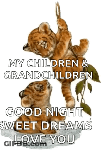 A Picture Of Two Tiger Cubs With The Words " My Children And Grandchildren Good Night Sweet Dreams Love You " On It GIF
