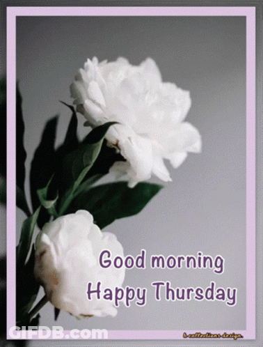 A Picture Of Two White Flowers With The Words Good Morning Happy Thursday GIF
