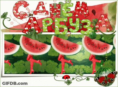 A Picture Of Watermelons With The Words " Cahem Ap3y3 " On Top GIF