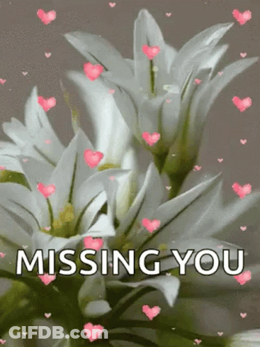A Picture Of White Flowers With Pink Hearts And The Words `` Missing You '' GIF