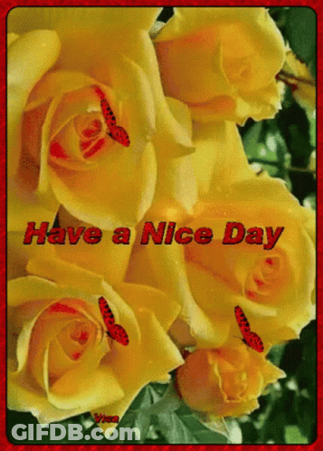 A Picture Of Yellow Roses With Butterflies And The Words Have A Nice Day GIF