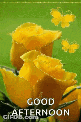 A Picture Of Yellow Roses With Butterflies Flying Around Them And The Words `` Good Afternoon '' . GIF