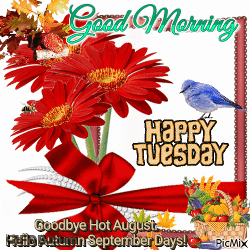 A Picture That Says Good Morning Happy Tuesday With Flowers And A Bird GIF