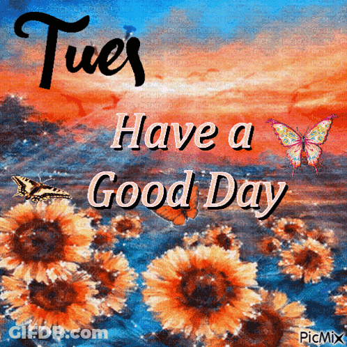 A Picture That Says Tues Have A Good Day With Flowers And Butterflies GIF