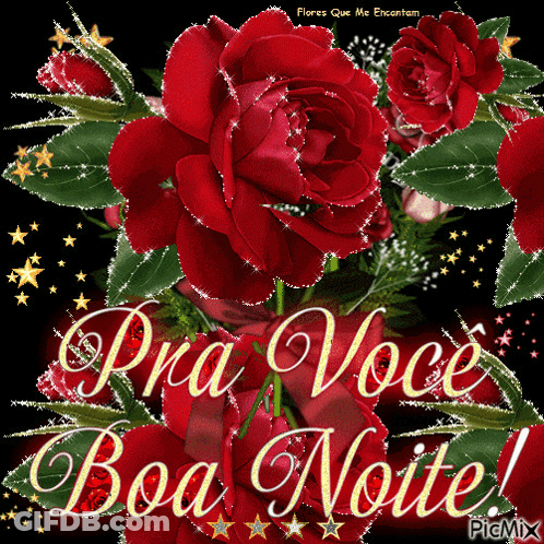 A Picture With Red Roses And The Words Pra Voce Boa Noite GIF