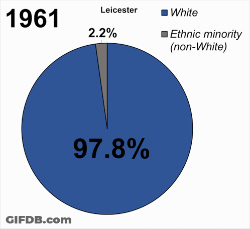 A Pie Chart Shows The Percentage Of People Of Different Races GIF