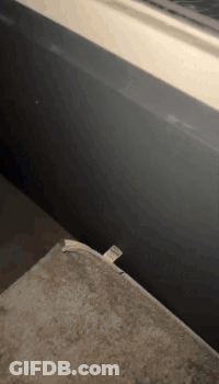 A Piece Of Paper Is Laying On A Table Next To A Wall GIF