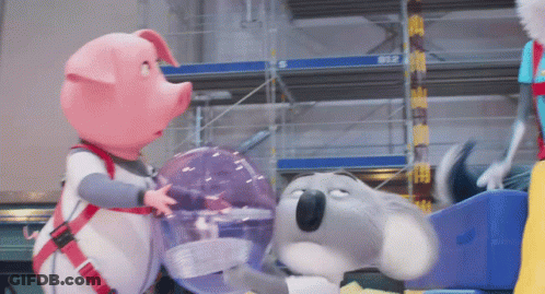 A Pig And A Koala Are Standing Next To Each Other In A Room GIF