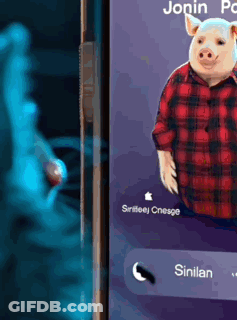 A Pig In A Plaid Shirt Is On The Phone Screen GIF