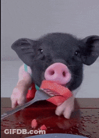 A Pig Is Holding A Knife And Fork In Its Mouth In Front Of A Plate Of Food GIF