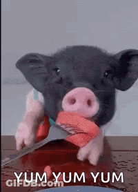 A Pig Is Holding A Knife In Its Mouth While Eating A Piece Of Meat . GIF