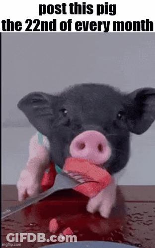 A Pig Is Holding A Knife In Its Mouth With The Words Post This Pig The 22Nd Of Every Month GIF