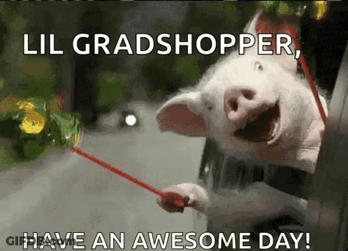 A Pig Is Holding A Red Stick With The Words Lil Gradshopper Have An Awesome Day GIF
