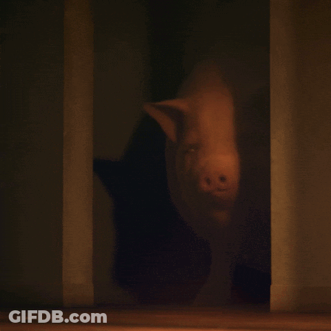 A Pig Is Standing In A Dark Room And Smiling At The Camera GIF