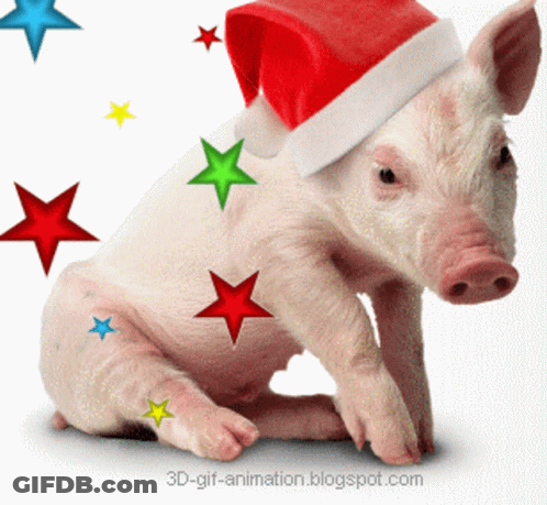 A Pig Is Wearing A Santa Hat With Stars Around It GIF
