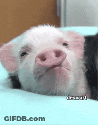 A Pig Laying On A Bed With Devx Art Written On The Bottom Right GIF