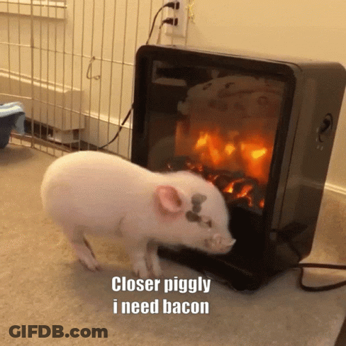 A Pig Standing In Front Of A Fireplace With The Words Closer Piggly I Need Bacon Below It GIF