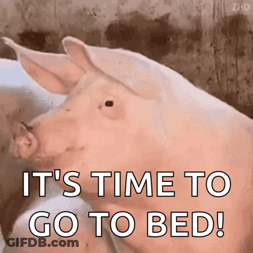 A Pig With The Words It 'S Time To Go To Bed Written On It GIF