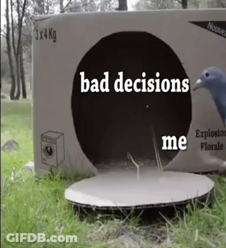 A Pigeon Is Jumping Out Of A Cardboard Box With The Words `` Bad Decisions '' Written On It . GIF