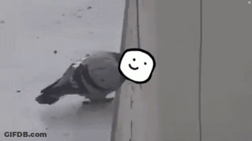 A Pigeon Is Standing On A Balcony With A Smiley Face Drawn On Its Head . GIF