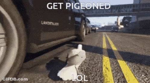 A Pigeon Laying On The Ground Next To A Car That Says Get Pigeoned GIF