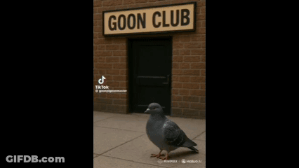 A Pigeon Standing In Front Of A Sign That Says ' Goon Club ' GIF