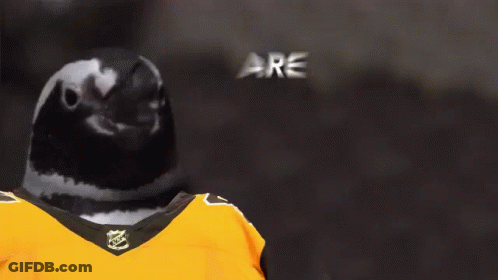 A Pigeon Wearing A Hockey Jersey With The Words " Are You Ready " Behind It GIF